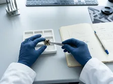 白いトレーに小さな半導体チップを置く手
